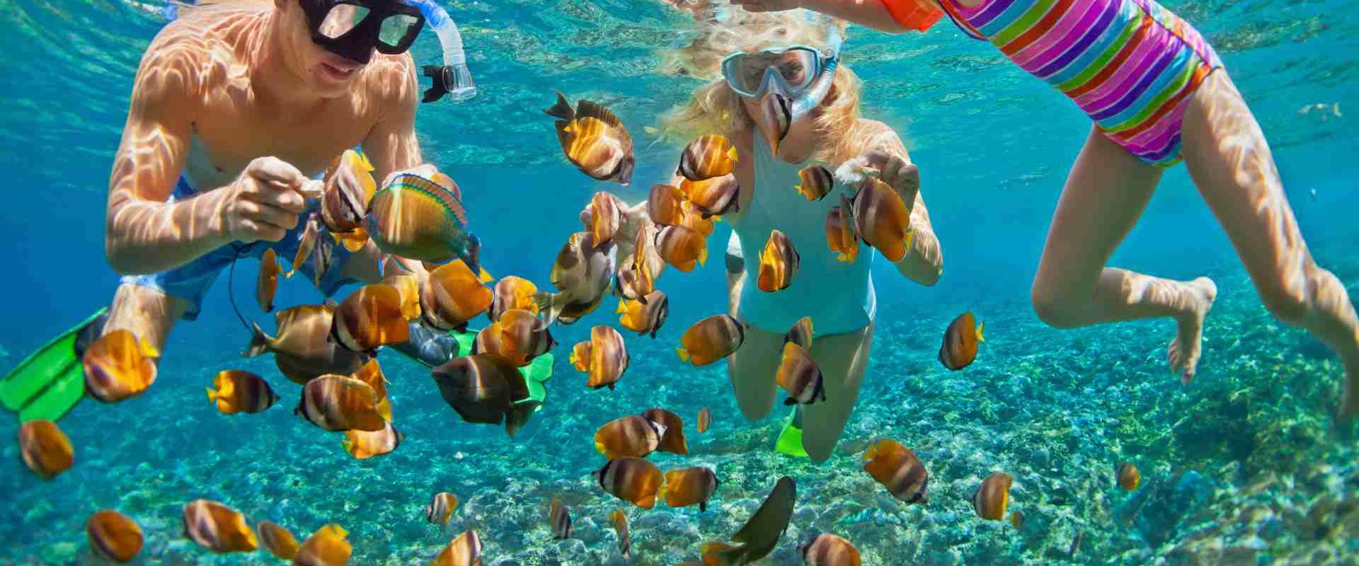 the-ultimate-guide-to-honolulu-family-activities