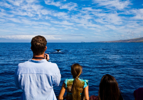 The Ultimate Guide to Whale Watching with Kids in Honolulu